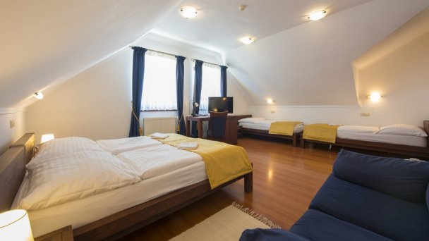 Hotel Amalia ***+ Nová Lesná 25