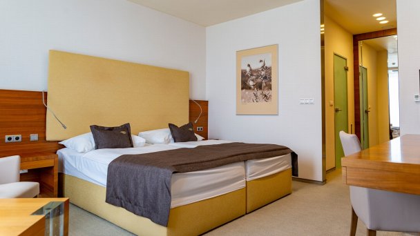 Hotel AquaCity Mountain View **** Poprad 14