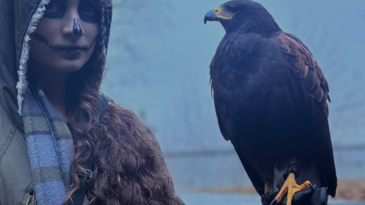 Sokoliarsky dvor Astur, hrad Červený Kameň 1