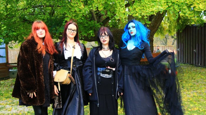 Sokoliarsky dvor Astur, Hrad Červený Kameň