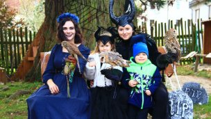 Sokoliarsky dvor Astur, hrad Červený Kameň 3