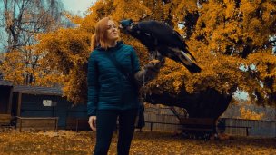 Sokoliarsky dvor Astur, hrad Červený Kameň 4