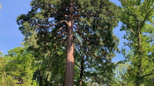 Botanická záhrada Banská Štiavnica 2 Autor: Astrologia & terapia by Meli Zdroj: https://scontent-vie1-1.xx.fbcdn.net/v/t1.0-9/s960x960/61019884_2270678616480876_9173601607936376832_o.jpg?_nc_cat=106&_nc_sid=110474&_nc_oc=AQki1zoqRvlmPiSQiozNBcJjJaNAQ-GWL0aMo1-m08oVOXGfplQ4SQ8EJt2pvx1NoEE&_nc_ht=scontent-vie1-1.xx&_nc_tp=7&oh=940d9909ded0401949174e3b507fc332&oe=5ECC346B Botanická záhrada Banská Štiavnica 2 Autor: Astrologia & terapia by Meli Zdroj: https://scontent-vie1-1.xx.fbcdn.net/v/t1.0-9/s960x960/61019884_2270678616480876_9173601607936376832_o.jpg?_nc_cat=106&_nc_sid=110474&_nc_oc=AQki1zoqRvlmPiSQiozNBcJjJaNAQ-GWL0aMo1-m08oVOXGfplQ4SQ8EJt2pvx1NoEE&_nc_ht=scontent-vie1-1.xx&_nc_tp=7&oh=940d9909ded0401949174e3b507fc332&oe=5ECC346B