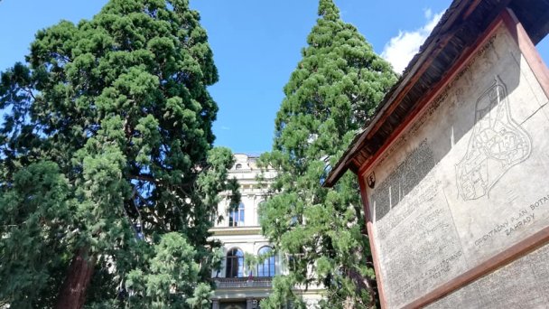 Botanická záhrada Banská Štiavnica 4 Autor: Viktor Kapety Zdroj: https://scontent-vie1-1.xx.fbcdn.net/v/t1.0-9/67426551_912472822418895_5970210566726221824_n.jpg?_nc_cat=100&_nc_sid=110474&_nc_oc=AQnaTvkKIIK2Xn-YG8cfqMi-ba1WGTbjsOiuJjDLyUU6e9LHTxN2ow5mp0nLfJ7y0So&_nc_ht=scontent-vie1-1.xx&oh=e6a8235fd76e584b3e68417630783edd&oe=5ECD983C&dl=1 Botanická záhrada Banská Štiavnica 4 Autor: Viktor Kapety Zdroj: https://scontent-vie1-1.xx.fbcdn.net/v/t1.0-9/67426551_912472822418895_5970210566726221824_n.jpg?_nc_cat=100&_nc_sid=110474&_nc_oc=AQnaTvkKIIK2Xn-YG8cfqMi-ba1WGTbjsOiuJjDLyUU6e9LHTxN2ow5mp0nLfJ7y0So&_nc_ht=scontent-vie1-1.xx&oh=e6a8235fd76e584b3e68417630783edd&oe=5ECD983C&dl=1
