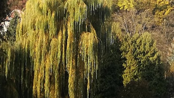 Eko park Prešov 2 Zdroj: https://scontent-vie1-1.xx.fbcdn.net/v/t1.0-9/74525757_2481342501950384_37858685015293952_n.jpg?_nc_cat=105&_nc_sid=8024bb&_nc_oc=AQlDxXUKkaU29Ss2DyYovDsJywd3GCdm8qRA9LH7a651dAFMFkeyhQmelMeLiw7vT4Y&_nc_ht=scontent-vie1-1.xx&oh=aaf499e8cd13a01fab6df3e570074240&oe=5ECB9A4A Eko park Prešov 2 Zdroj: https://scontent-vie1-1.xx.fbcdn.net/v/t1.0-9/74525757_2481342501950384_37858685015293952_n.jpg?_nc_cat=105&_nc_sid=8024bb&_nc_oc=AQlDxXUKkaU29Ss2DyYovDsJywd3GCdm8qRA9LH7a651dAFMFkeyhQmelMeLiw7vT4Y&_nc_ht=scontent-vie1-1.xx&oh=aaf499e8cd13a01fab6df3e570074240&oe=5ECB9A4A