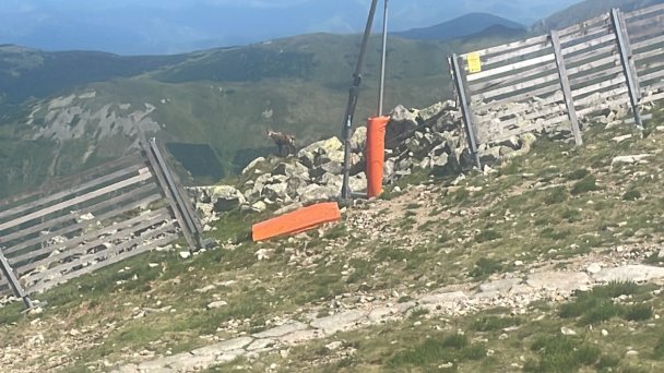Chopok Nízke Tatry 20