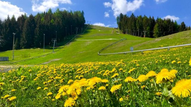 Fun park Žiarce 3 Zdroj: https://scontent-vie1-1.xx.fbcdn.net/v/t1.0-9/18556303_1355859777832344_8405545061799861892_n.jpg?_nc_cat=106&_nc_sid=2d5d41&_nc_oc=AQneO14gg5pkzef6feVVe003sZoUXl-GBCjPAGot_RaX6RJDywT1D_XMUaB9yruH7QU&_nc_ht=scontent-vie1-1.xx&oh=72c37443c862fd8fb15121da4e36fd3d&oe=5EC987BE&dl=1 Fun park Žiarce 3 Zdroj: https://scontent-vie1-1.xx.fbcdn.net/v/t1.0-9/18556303_1355859777832344_8405545061799861892_n.jpg?_nc_cat=106&_nc_sid=2d5d41&_nc_oc=AQneO14gg5pkzef6feVVe003sZoUXl-GBCjPAGot_RaX6RJDywT1D_XMUaB9yruH7QU&_nc_ht=scontent-vie1-1.xx&oh=72c37443c862fd8fb15121da4e36fd3d&oe=5EC987BE&dl=1
