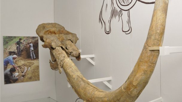 Balneologické múzeum Imricha Wintera v Piešťanoch 5 Balneologické múzeum Imricha Wintera v Piešťanoch 5