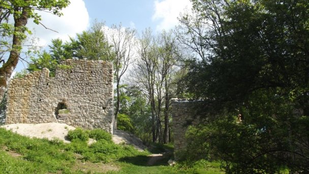 Hrad Muráň Autor: hrady-zamky.sk Zdroj: https://www.hrady-zamky.sk/obrazky/muran/muran9.jpg