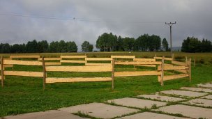 Kone vo Východnej 6