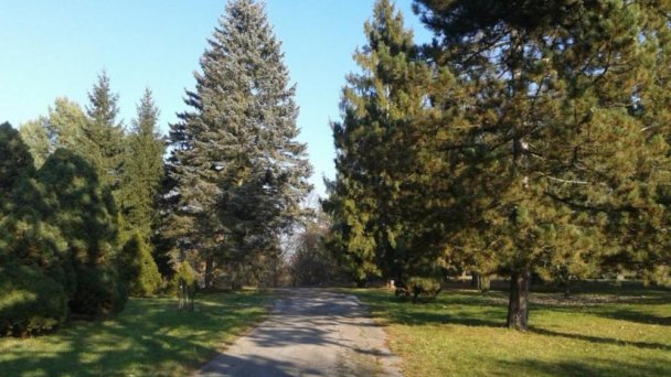 Arborétum Borová hora 3 Arborétum Borová hora 3