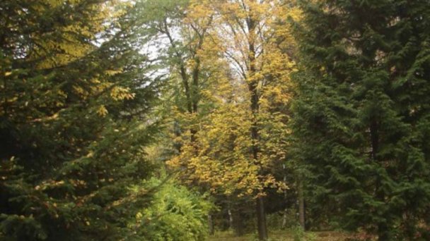 Arborétum 2 Arborétum 2