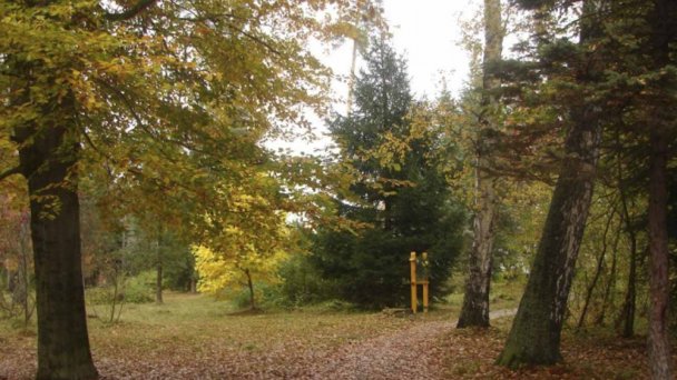 Arborétum 4 Arborétum 4