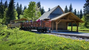 Oravská lesná železnica 3