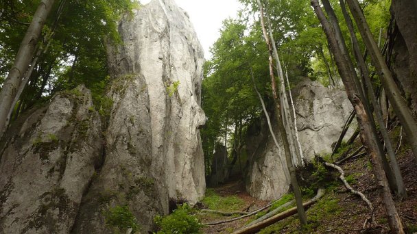 Súľovské skaly Autor: Marzper Zdroj: https://upload.wikimedia.org/wikipedia/commons/7/72/Sulovske_skaly_9.JPG Súľovské skaly Autor: Marzper Zdroj: https://upload.wikimedia.org/wikipedia/commons/7/72/Sulovske_skaly_9.JPG