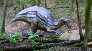 Dino Park Autor: DinoTeam Zdroj: https://upload.wikimedia.org/wikipedia/commons/c/c5/Maiasaura%2C_DinoPark_Ko%C5%A1ice.jpg