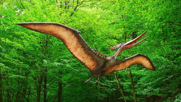 Dino Park Autor: DinoTeam Zdroj: https://upload.wikimedia.org/wikipedia/commons/c/c8/Pteranodon%2C_DinoPark_Ko%C5%A1ice.jpg