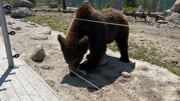 ZOO Kontakt 5