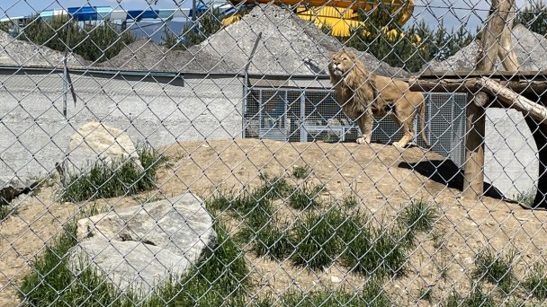 ZOO Kontakt 15