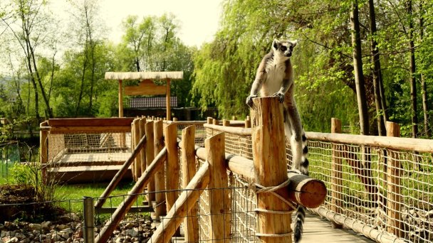 Zoologická záhrada 2