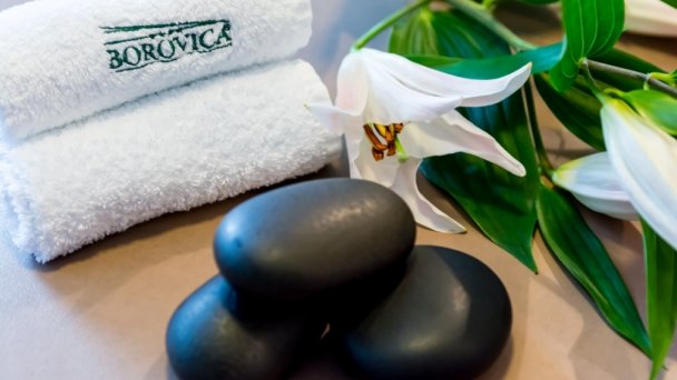 Wellness hotel Borovica **** Štrbské Pleso 93 Wellness hotel Borovica **** Štrbské Pleso 93