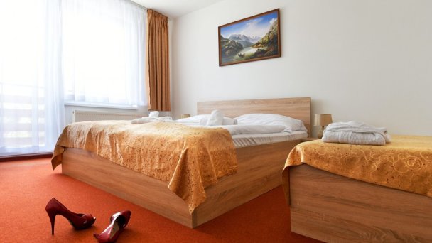 Hotel Lesana **** Stará Lesná 6 Hotel Lesana **** Stará Lesná 6
