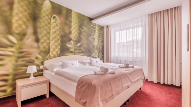 Hotel Slovan *** Tatranská Lomnica 24