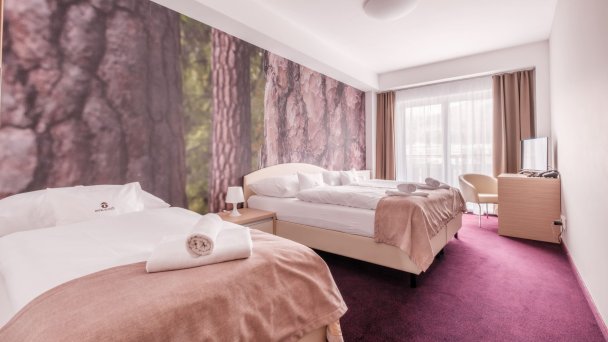 Hotel Slovan *** Tatranská Lomnica 16