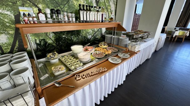 Hotel Hviezda *** Dudince 86