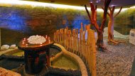 Hotel Zochova chata **** Modra 4