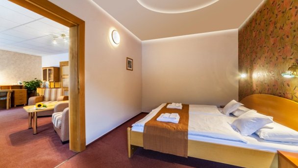 Hotel Flóra *** Trenčianske Teplice 2 Hotel Flóra *** Trenčianske Teplice 2