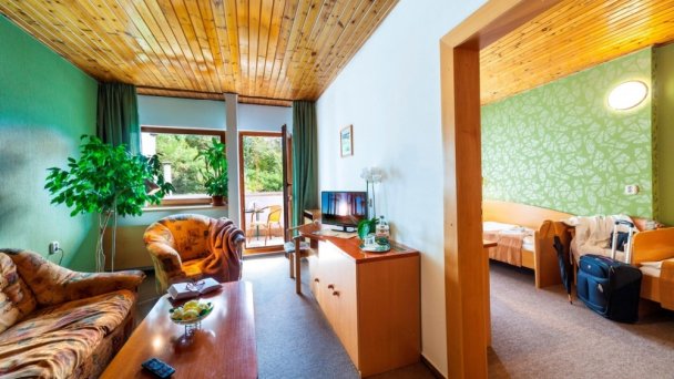 Hotel Flóra *** Trenčianske Teplice 21 Hotel Flóra *** Trenčianske Teplice 21