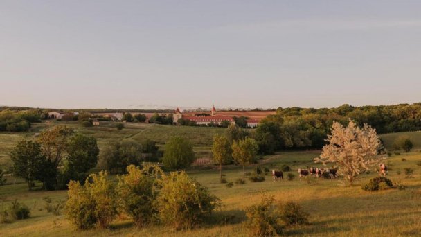 Hotel Château **** Belá - Štúrovo 14