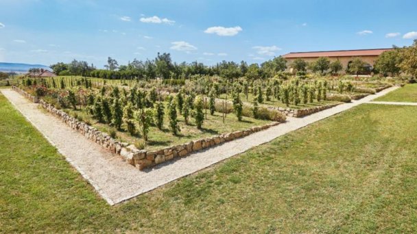 Hotel Château **** Belá - Štúrovo 18