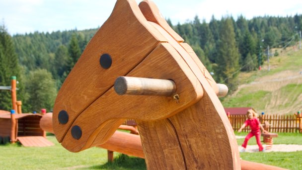 Horský hotel Tini **** Horný Vadičov PREVÁDZKA UKONČENÁ 66