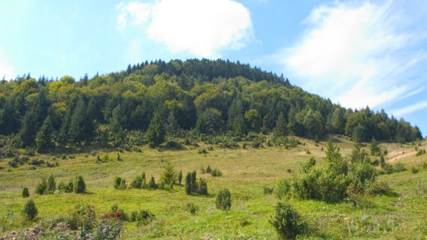 Horský hotel Tini **** Horný Vadičov PREVÁDZKA UKONČENÁ 73