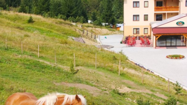 Horský hotel Tini **** Horný Vadičov PREVÁDZKA UKONČENÁ 76