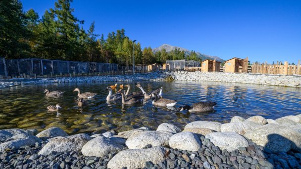 Hotel Hubert **** Vital Resort Gerlachov 84 Hotel Hubert **** Vital Resort Gerlachov 84