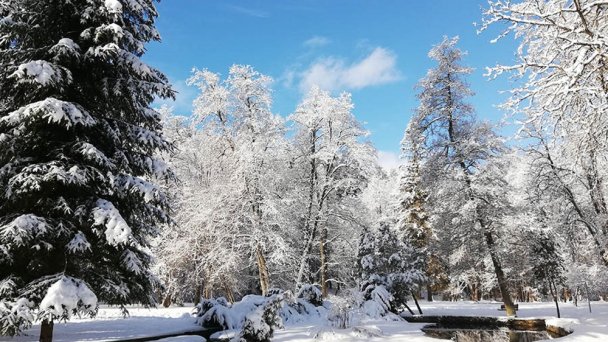 Kúpele Brusno 123
