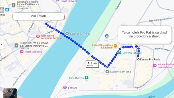 Vila Trajan Ensana Health Spa Hotel ** (strava a procedúry v Hoteli Pro Patria do 600 m) 5