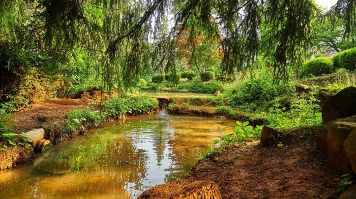 Sila lesného kúpeľa: Totálny reštart v Kúpeľoch Sliač