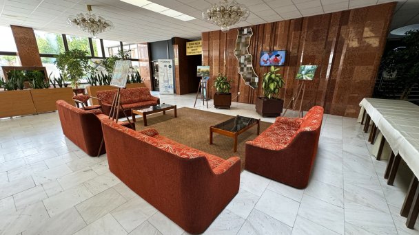 Central Ensana Health Spa Hotel *** 8