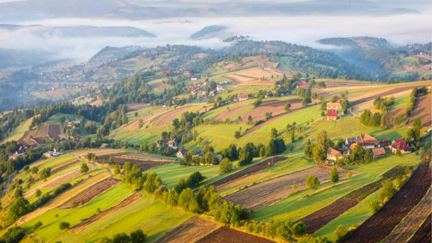 Rezort Masarykov dvor *** Vígľaš 25
