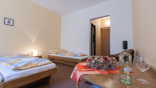 Horský hotel Teplica * Brezovica DOČASNE ZATVORENÝ REKONŠTRUKCIA 19