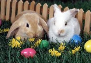 Veľká noc v Thermalparku vo vlnách relaxu