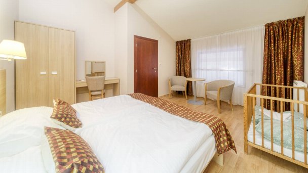 Wellness hotel Patince **** Patince 37