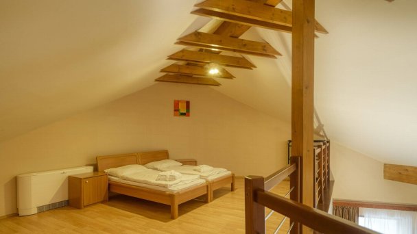 Wellness hotel Patince **** Patince 49