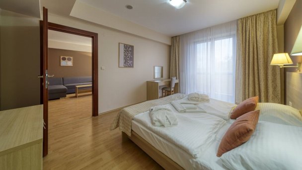 Wellness hotel Patince **** Patince 41