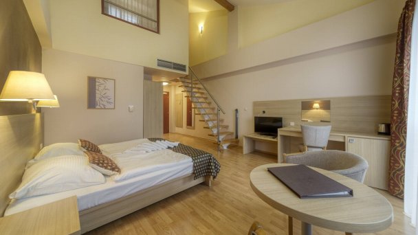 Wellness hotel Patince **** Patince 38