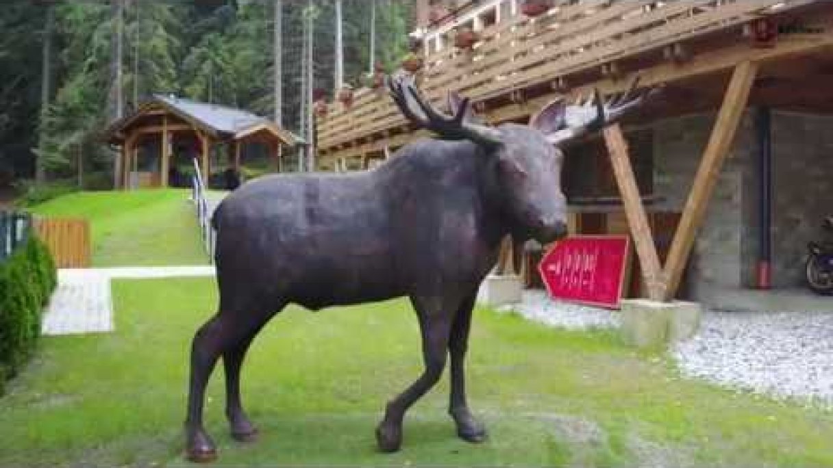 Hotel Bjornsonka - Demänovská Dolina Autor: Hotel Bjornsonka - Chopok Jasná Zdroj: https://www.youtube.com/@hotelbjornsonka-chopokjasn8016 Hotel Bjornsonka - Demänovská Dolina Autor: Hotel Bjornsonka - Chopok Jasná Zdroj: https://www.youtube.com/@hotelbjornsonka-chopokjasn8016